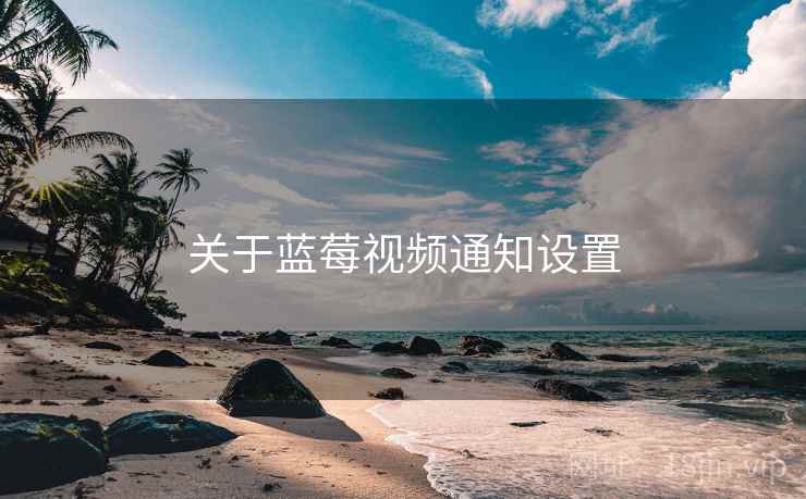 关于蓝莓视频通知设置