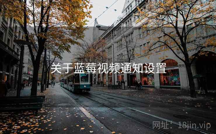 关于蓝莓视频通知设置