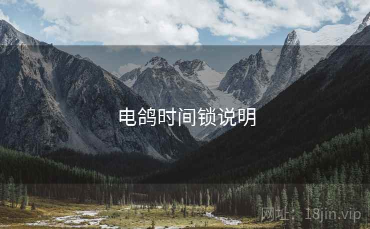 电鸽时间锁说明