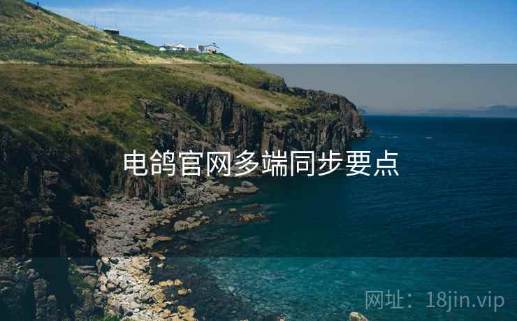 电鸽官网多端同步要点