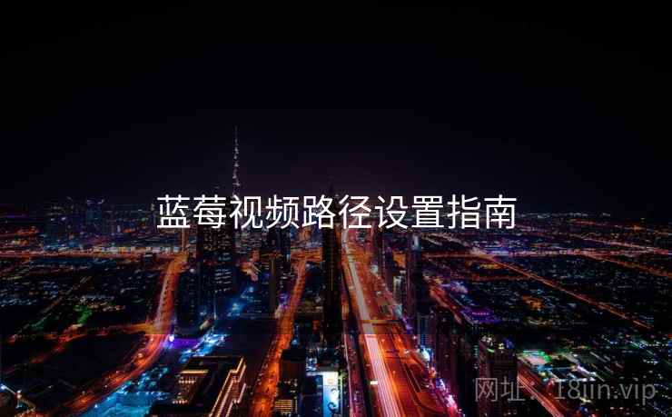 蓝莓视频路径设置指南