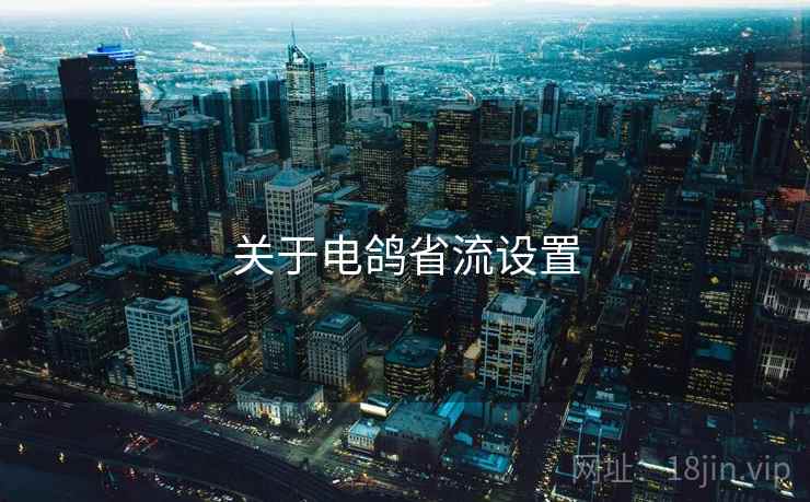 关于电鸽省流设置