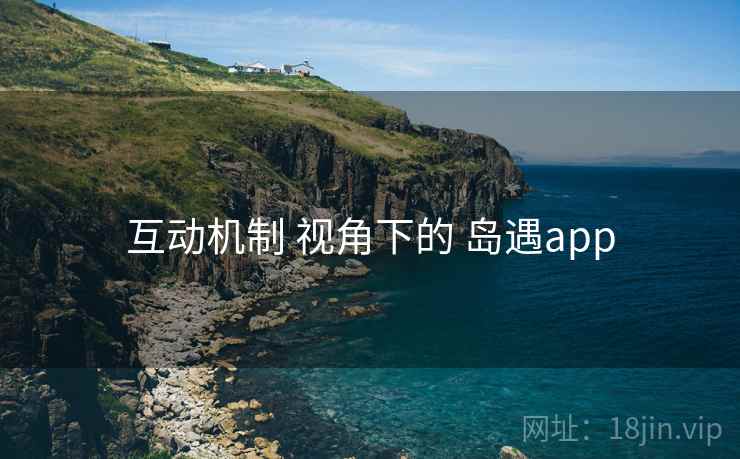 互动机制 视角下的 岛遇app