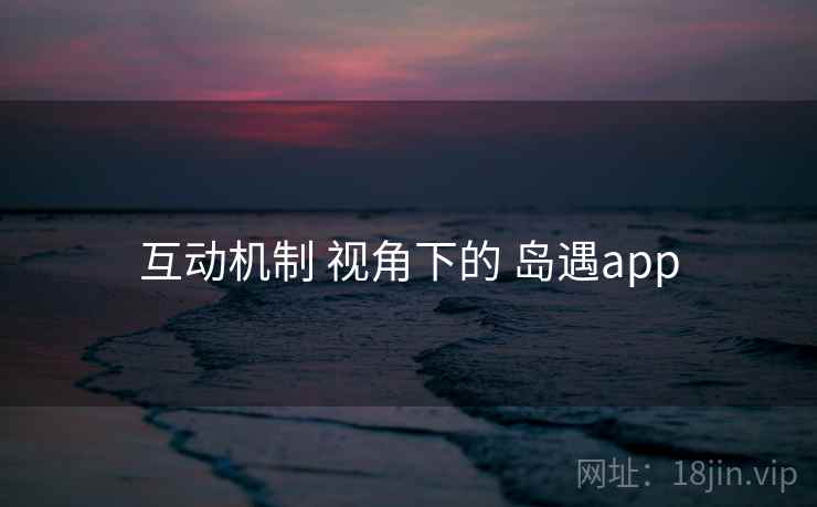 互动机制 视角下的 岛遇app