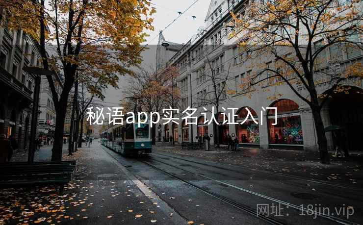 秘语app实名认证入门
