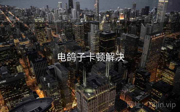 电鸽子卡顿解决