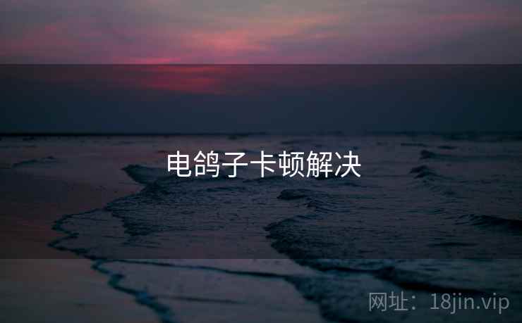 电鸽子卡顿解决