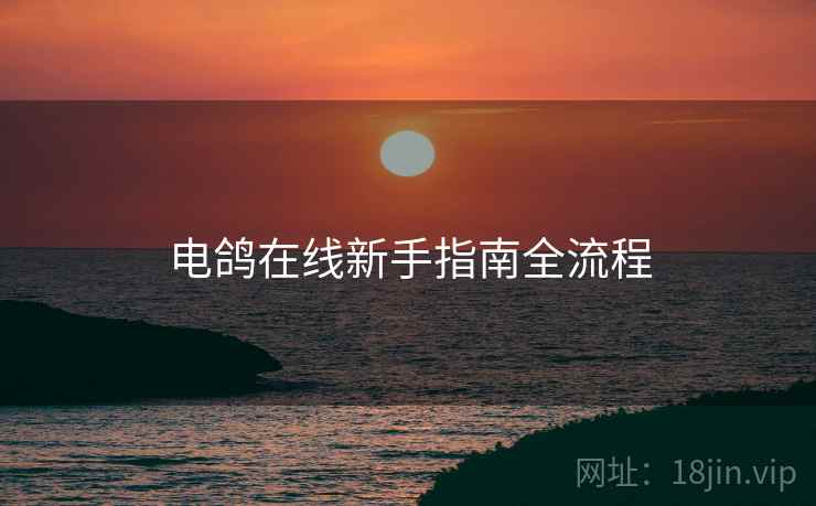 电鸽在线新手指南全流程