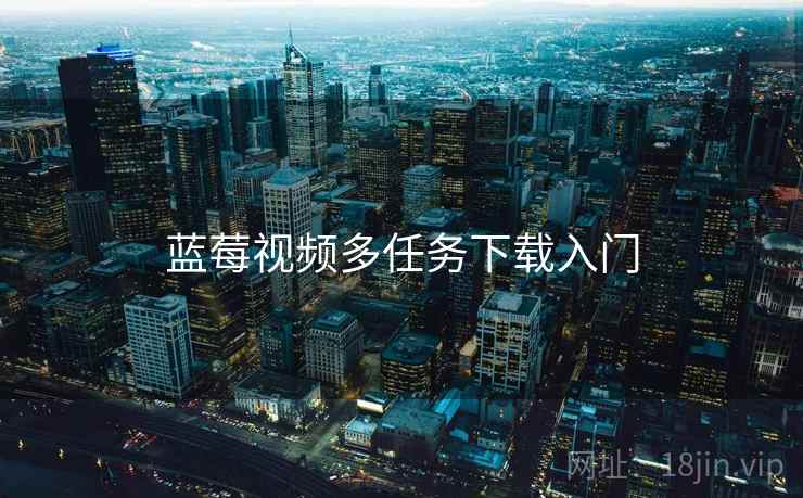 蓝莓视频多任务下载入门