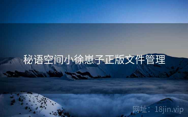 秘语空间小徐崽子正版文件管理