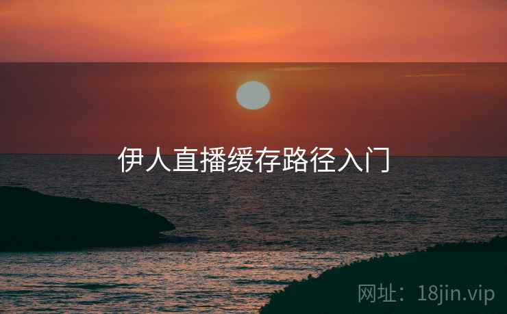 伊人直播缓存路径入门