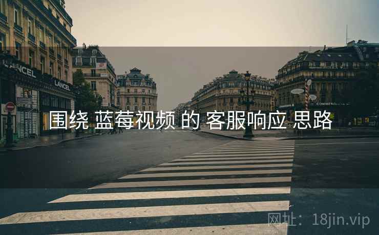 围绕 蓝莓视频 的 客服响应 思路
