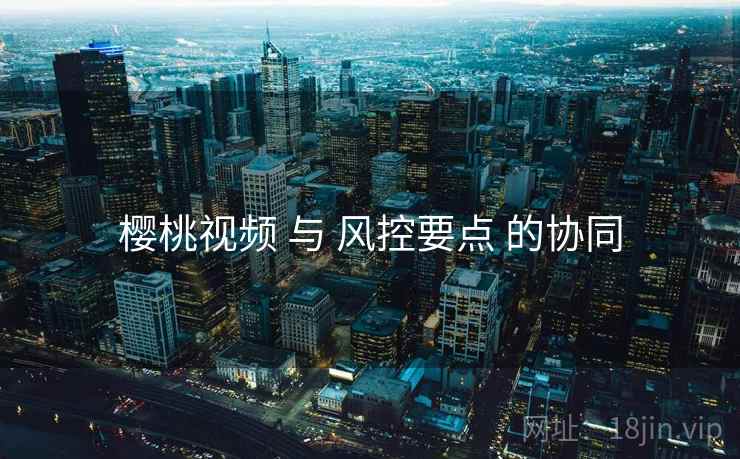 樱桃视频 与 风控要点 的协同