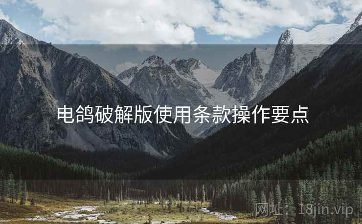 电鸽破解版使用条款操作要点