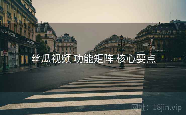 丝瓜视频 功能矩阵 核心要点