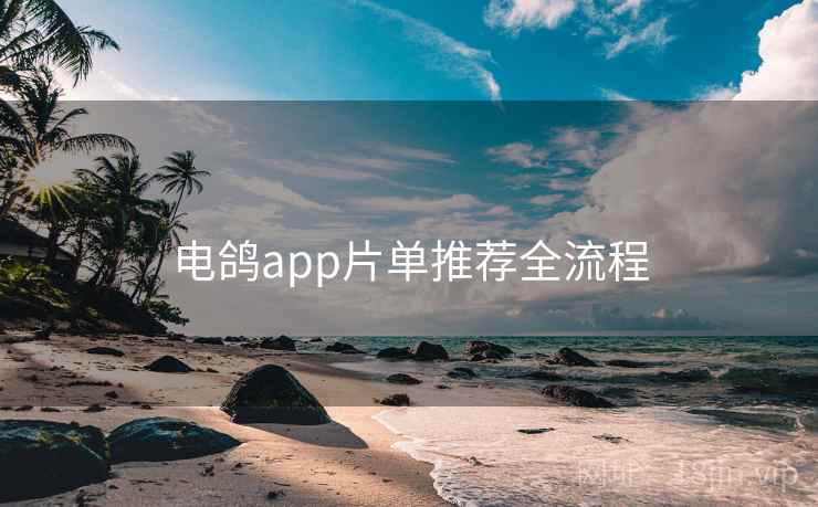 电鸽app片单推荐全流程