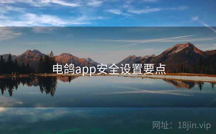 电鸽app安全设置要点