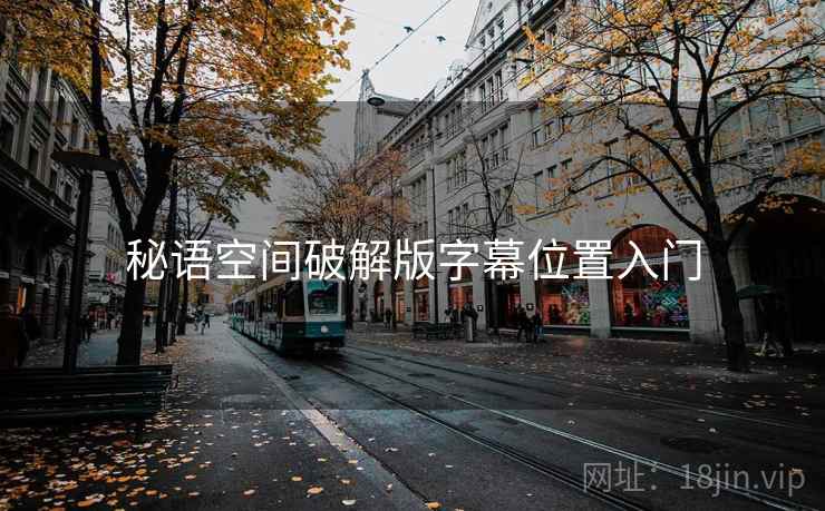 秘语空间破解版字幕位置入门