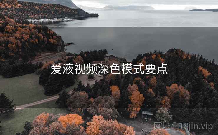 爱液视频深色模式要点