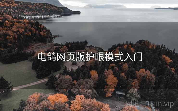 电鸽网页版护眼模式入门