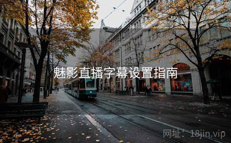 魅影直播字幕设置指南