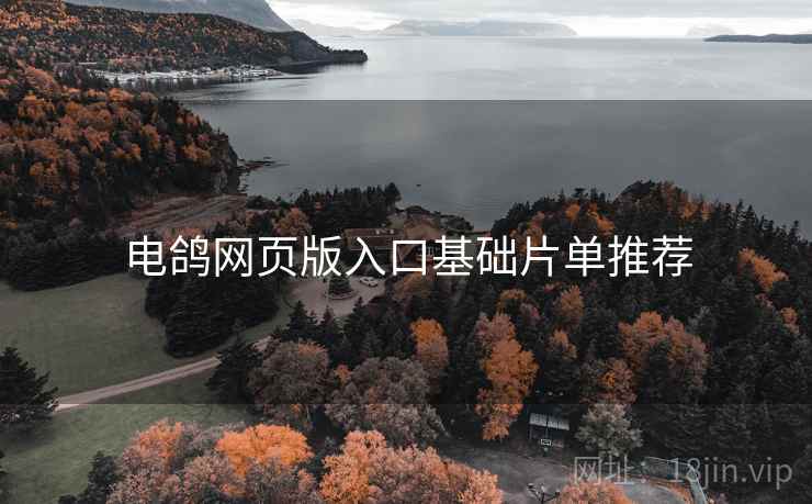 电鸽网页版入口基础片单推荐