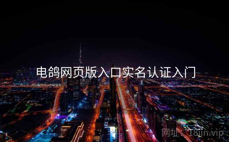 电鸽网页版入口实名认证入门