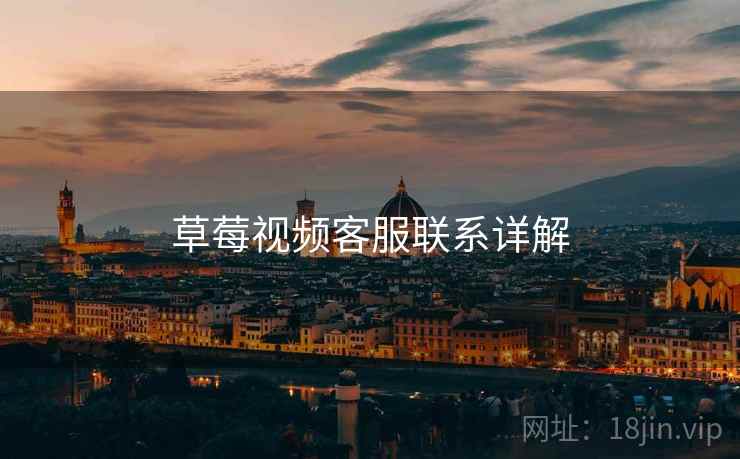 草莓视频客服联系详解
