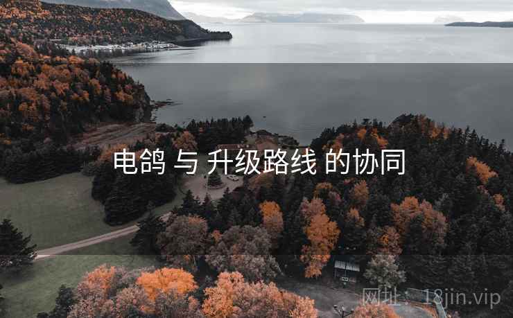 电鸽 与 升级路线 的协同