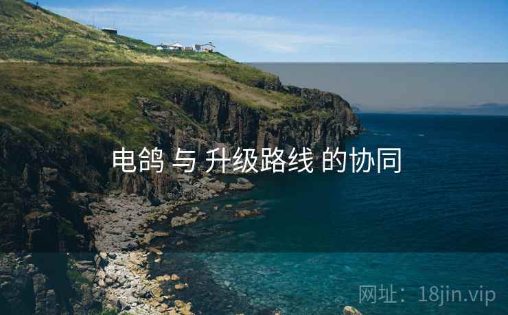 电鸽 与 升级路线 的协同