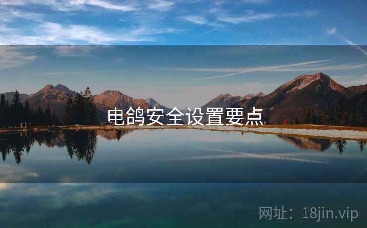 电鸽安全设置要点