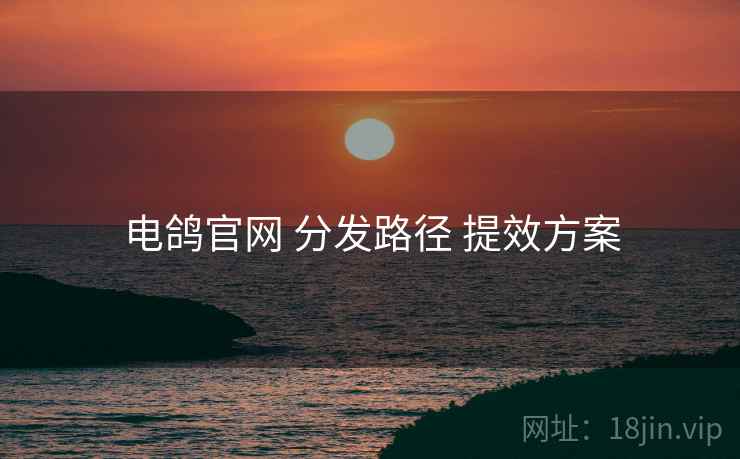 电鸽官网 分发路径 提效方案