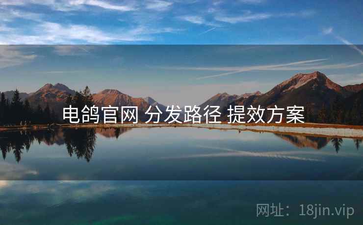 电鸽官网 分发路径 提效方案