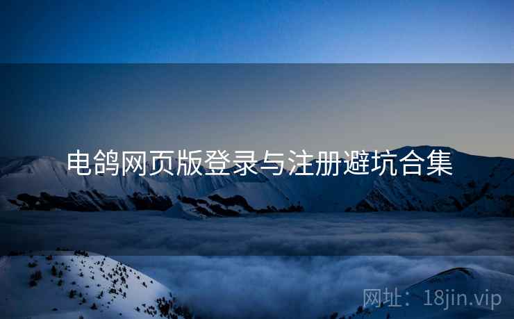电鸽网页版登录与注册避坑合集