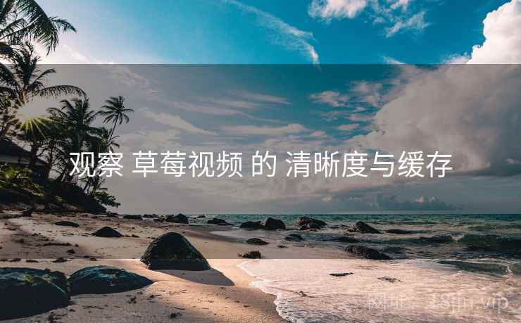 观察 草莓视频 的 清晰度与缓存