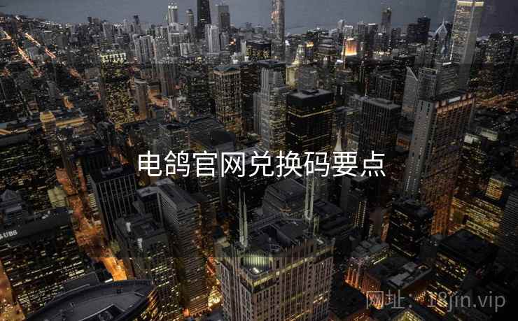 电鸽官网兑换码要点