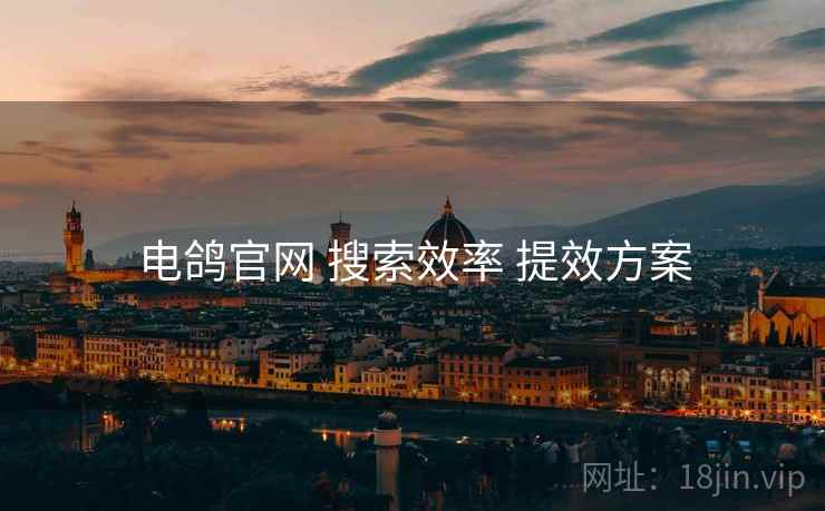 电鸽官网 搜索效率 提效方案
