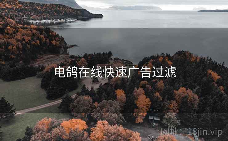 电鸽在线快速广告过滤