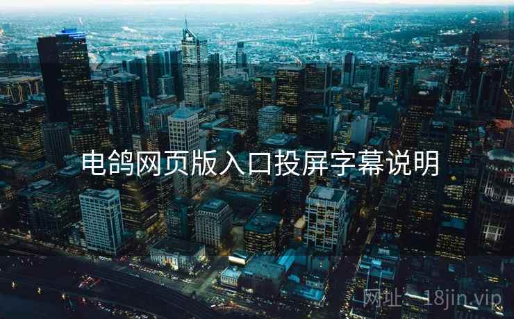 电鸽网页版入口投屏字幕说明
