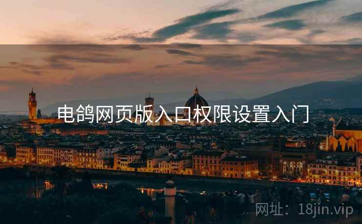 电鸽网页版入口权限设置入门