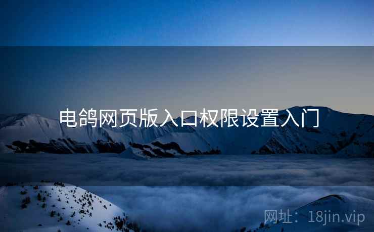 电鸽网页版入口权限设置入门