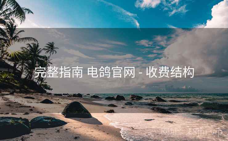 完整指南 电鸽官网 - 收费结构